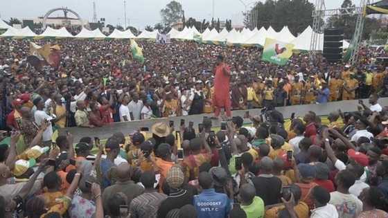 Anambra election: Actor Zubby Michael campaigns for APGA, Soludo
