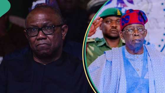 Peter Obi plotting major coup to unseat Tinubu, LP's factional leader alleges