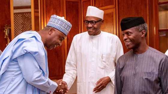 Zamu yi qasa-qasa da magudin Saraki a siyasar Kwara a wannan karon - Gwamnatin Tarayya