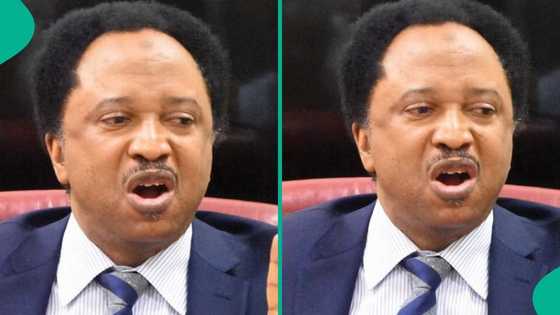 Gwamna ko Sanata: Shehu Sani ya faɗi kujerar da zai tsaya takara a 2027