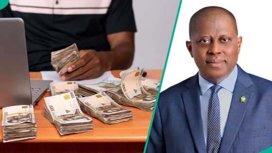 Naira Records best exchange rate against US dollar since May 2024, CBN excited