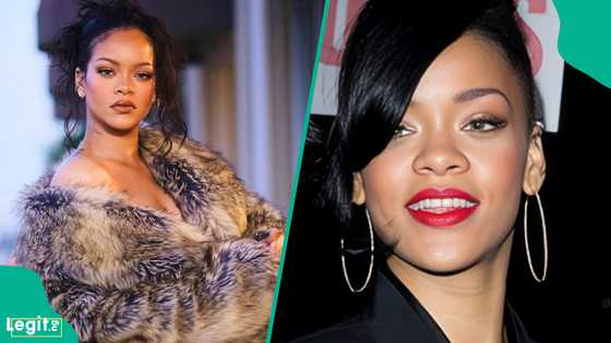 Woman arrested after opening fire on Rihanna’s LA mansion while singer was home