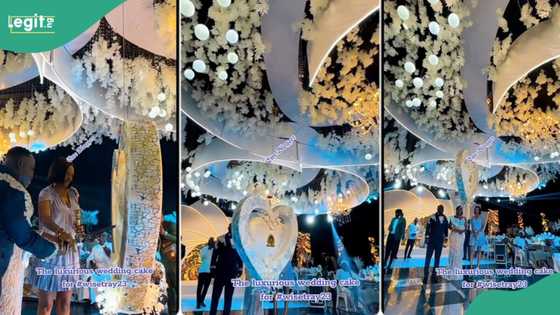 “l will never be poor in my life”: Couple shows luxurious wedding cake, people react