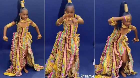 "Shakara dey her body": Little Nigerian girl turns studio to dance hall, shakes her body stylishly in video