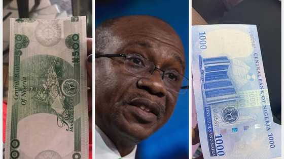 One week to deadline: Nigerians react as mutilated new naira notes enter into circulation