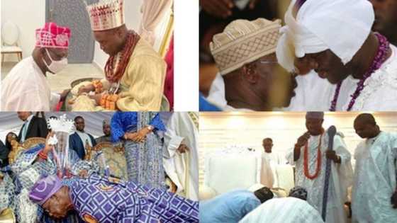 Olusegun Obasanjo: 3 times ex-president respects tradition, bows before kings in photos