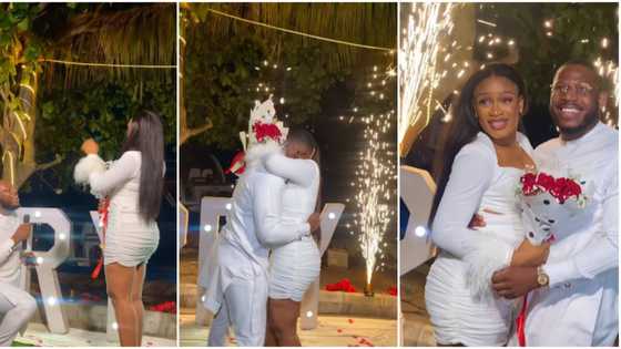 “He loves hard and genuinely”: BBNaija’s Frodd gets engaged, romantic proposal video melts hearts online
