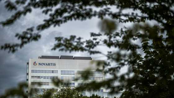 Novartis chief eyes ways to end higher US drug prices: media
