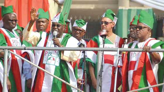 Steve Hanke’s report validates our position about Nigeria under Buhari - PDP