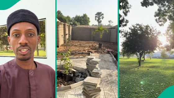 Intentional Nigerian man acquires large plot of land just to make garden for wife: "She loves nature"