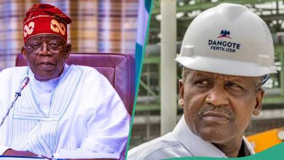 “Tinubu encouraged me to start refinery”: Dangote shares details