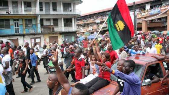 Agitations for Biafra: Allow Igbos go so can have peace, says Ex-envoy