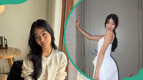 Evelyn Ha’s biography: What is known about the social media star