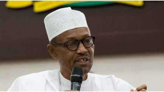 Unemployment crisis: Nigeria's labour market worsened since 2016, World Bank says