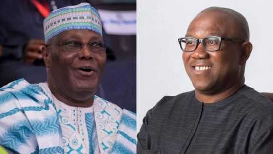 2023: Atiku sends strong, powerful message to Peter Obi as he clocks 61