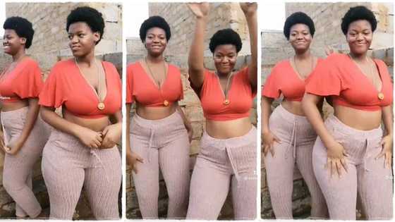 "Who is the lucky mother?" 2 extremely beautiful ladies who are twins dance hotly, video goes viral on TikTok