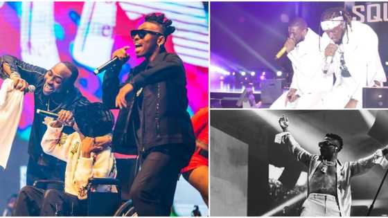 Detty December: 8 unforgettable moments from Davido, Wizkid, other music stars' concerts