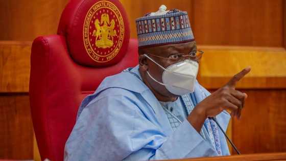 Senate reveals those behind the greatest corruption in Nigeria