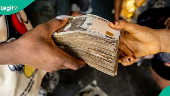 FG launches new credit scheme, invites youths to borrow up to N5m in minutes