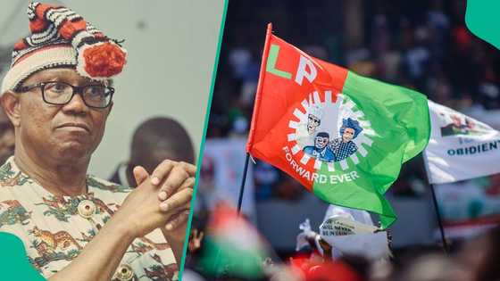Breaking: LP breaks silence after Peter Obi's defection: "We made a big mistake in 2023"