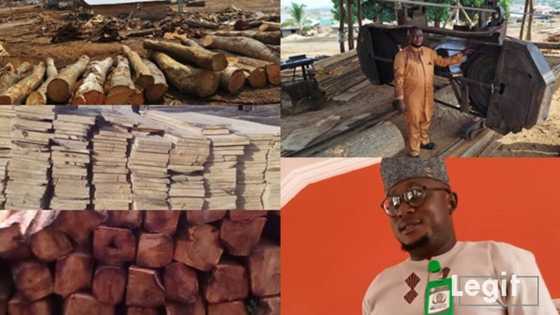 Nigerian varsity graduate shuns white-collar job for sawmill business; tells job seekers how to be employed