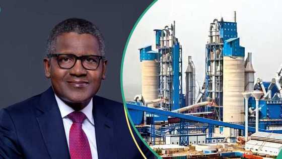 Dangote Refinery to process 130 crude types in major move to challenge global energy giants