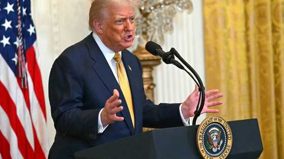 US-EU tariff talks progress as Trump announces Japan deal