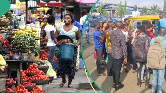 Higher food, rent, transport prices force Nigeria's inflation rate to hit 33.95 per cent