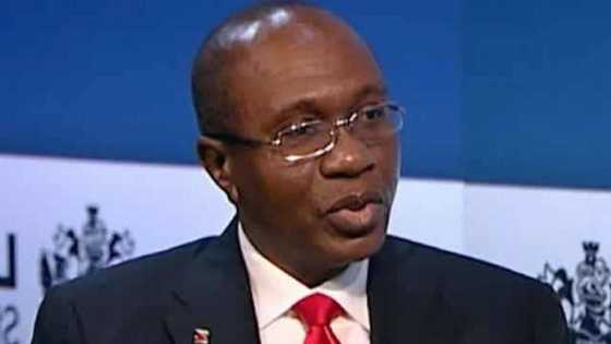 CBN increases interest rates to 15.5 per cent, highest in 20 years