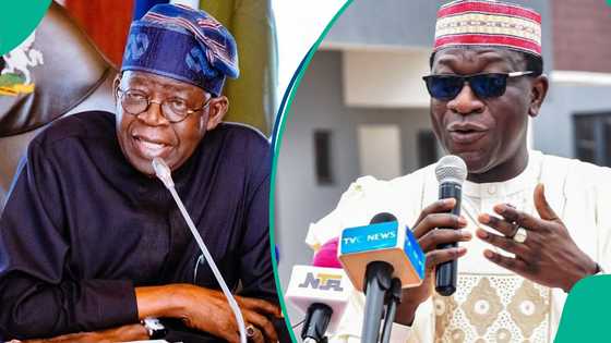 2027: Makusancin Kwankwaso ya hango wa Tinubu matsala idan aka yi watsi da Kashim