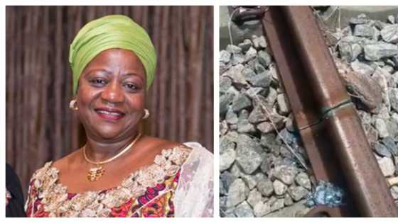 Who did this to us? Buhari's aide laments, shares video as vandals destroy new rail lines