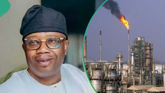 Senator tells Nigerians when refineries will begin full operations: "We inspected everything"