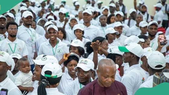 2023 N-Power programme application on? Fact emerges