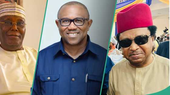 PDP, Labour Party, others planning to unite? Shehu Sani makes comment
