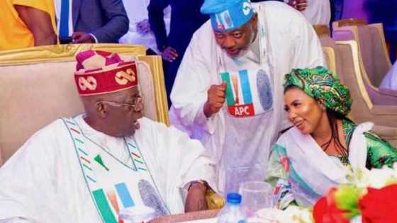 Jigon APC Ya Zargi Gwamnatin Tinubu da Murkushe Arewa Tun Wajen Nada Ministoci