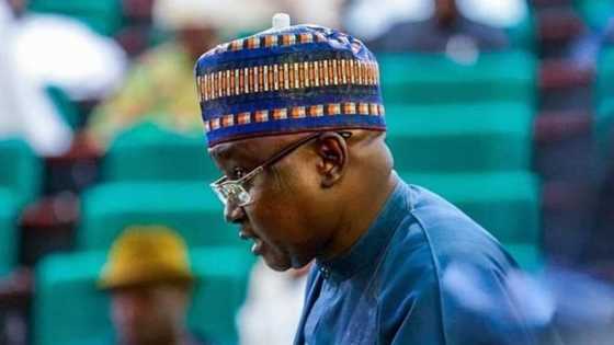 My father left over 40 children at 86 - Kano rep who has 27 kids from 4 wives defends action