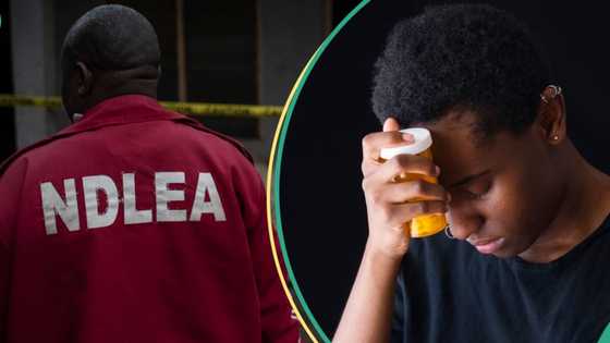 Zaben Kano: Masu neman takara 20 a NNPP sun fadi gwajin kwaya, NDLEA ta magantu