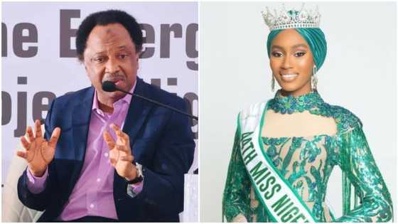 Sanata Shehu Sani ya yi martani ga Hisbah kan batun gayyatar iyayen sarauniyar kyau, Shatu Garko