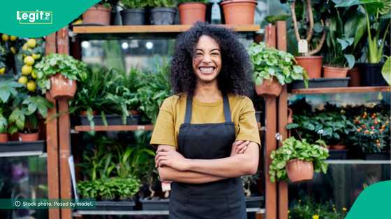 Big news for creative entrepreneurs as UK, Lagos state partners 3 others to launch N1.5 billion fund