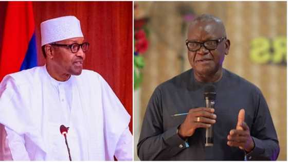 Most Nigeria politicians are scared of telling Buhari's govt the truth - Governor Ortom