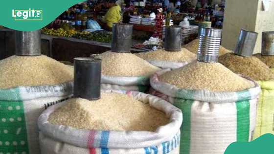 Top 5 cheapest, most expensive states to buy rice in Nigeria
