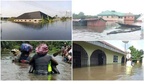 Omoku: The Rivers community where floods have chased residents out of homes
