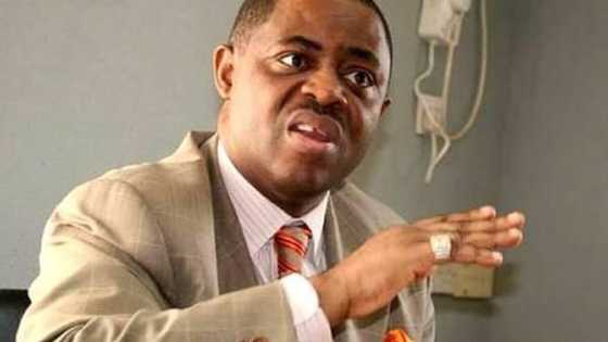 Fact Check: Did China truly seize shipload of human organs from Nigeria as Fani-Kayode claims?