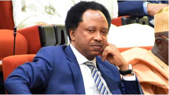 Powerful PDP senator blasts Govs for ignoring Katsina terrorist attacks as death toll rises to 84