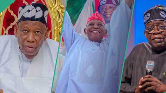 Kano: Ganduje ya tafka asara bayan ciyamomi 3 sun watse masa tare da komawa NNPP, Abba ya karbe su