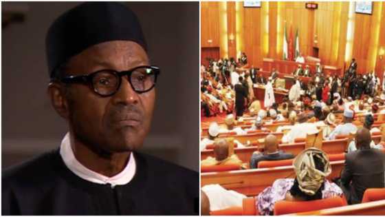 You must have been misinformed - Senate counters Buhari on refunds to Delta, Taraba