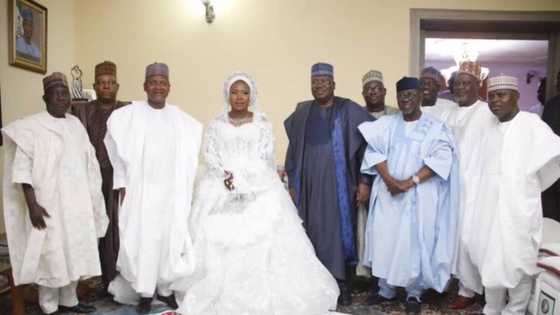 Dangote, Ahmad Lawan da wasu jiga-jigan 'yan Najeriya sun hallarci daurin auren 'yar Gwamna Sule (Hotuna)