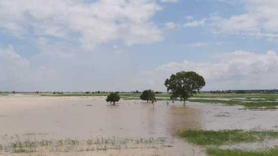Ambaliyar ruwa ta salwantar da rayuka 8, gonakin sun kwashe a Katsina