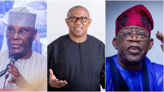 Don't vote for Tinubu, Peter Obi - Atiku urges Nigerians, gives reasons