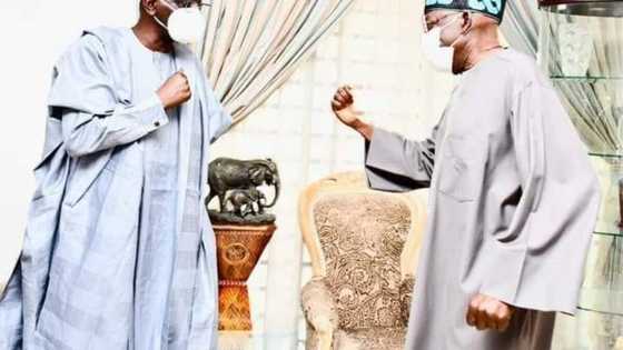 Rikicin APC a Kano: Da alamu Tinubu zai koma tsagin Shekarau, sun yi ganawar sirri